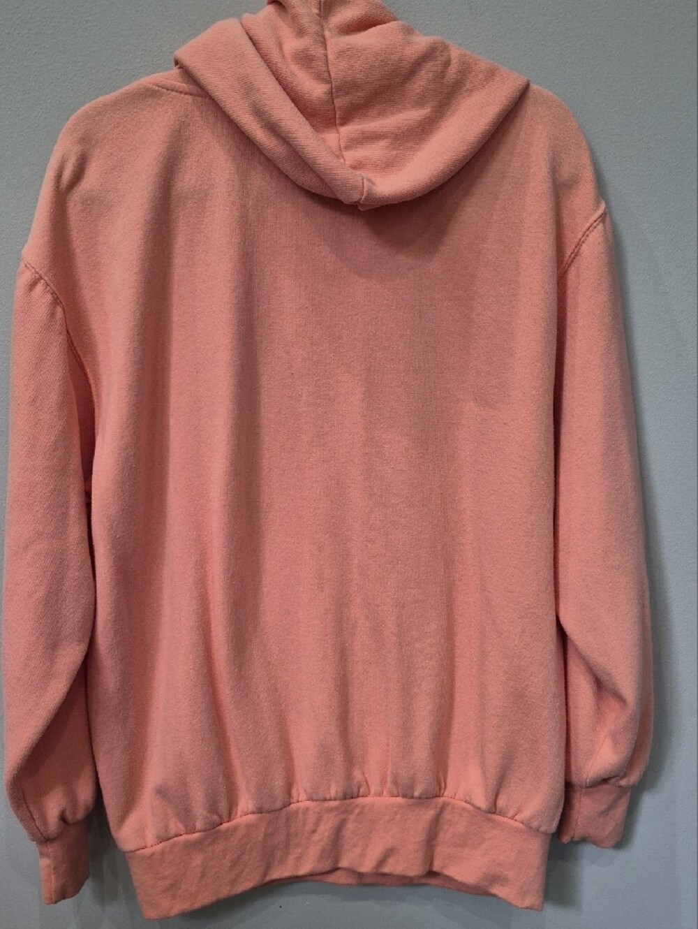 Ketchikan Alaska Moose Graphic Pullover Hoodie Mens L Salmon Pink Cabincore Hike - Picture 4 of 6